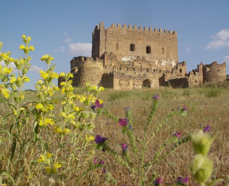 Los Yebenes - Los Castillos Agroturismo - Casa Rural en Toledo