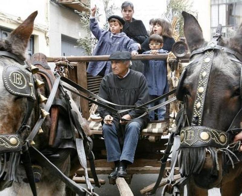 Mora  - Los Castillos Agroturismo - Casa Rural en Toledo